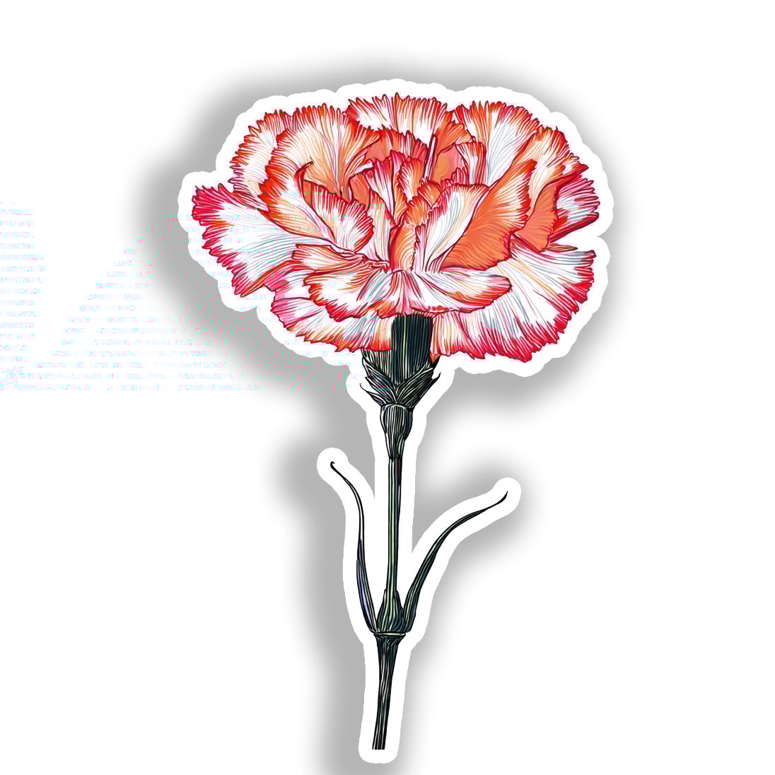 Carnation Flower Vinyl Decal Sticker for Car, Laptop, Tumbler and more # A018884-4" x 4"