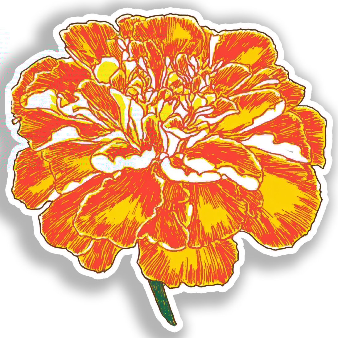Marigold Flower Vinyl Decal Sticker for Car, Laptop, Tumbler and more # A019364-4" x 4"