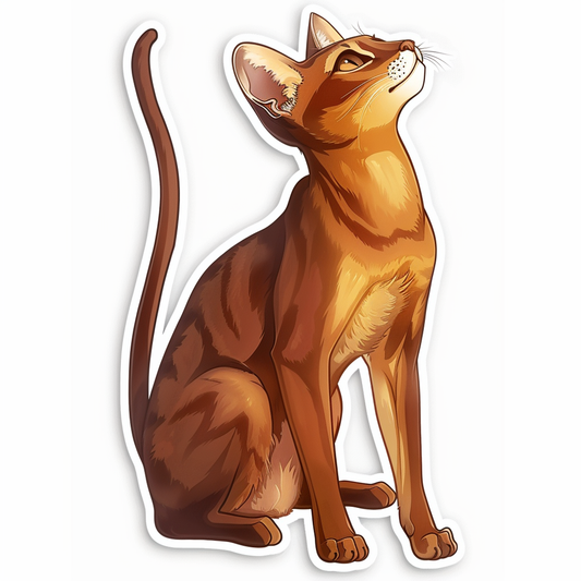 Abyssinian cat Vinyl Decal Sticker for Car, Laptop, Tumbler and more # F07774