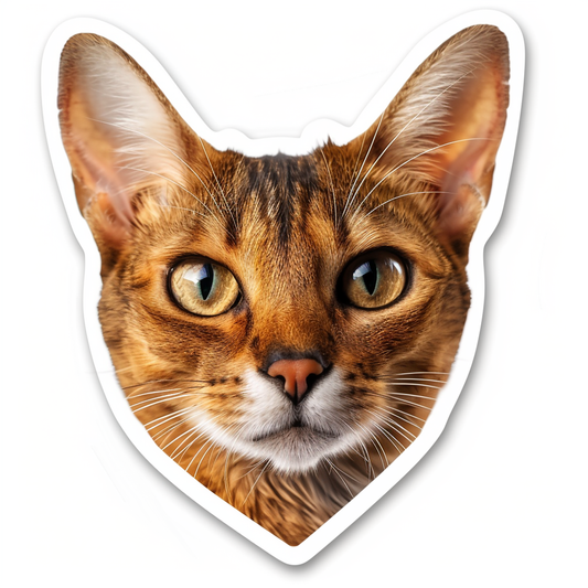 Abyssinian Cat astronaut majestic Expressive surreal Vinyl Decal Sticker for Car, Laptop, Tumbler and more # F021637-4" x 4"