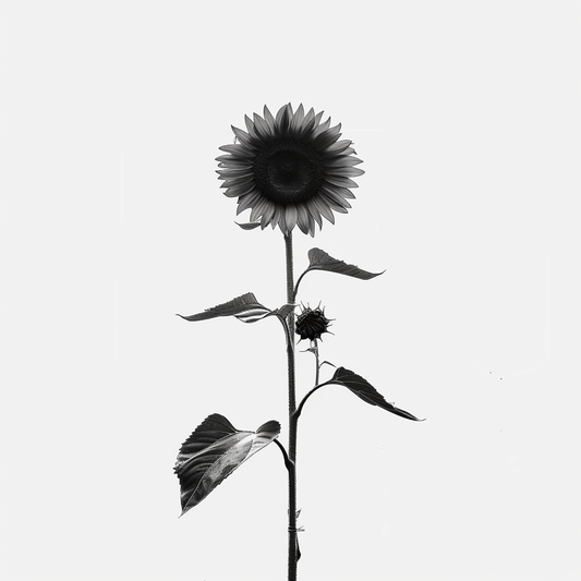 Sunflower flower majestic Expressive surreal Vinyl Decal Sticker for Car, Laptop, Tumbler and more # F023029