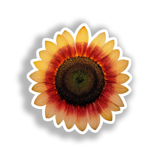 Sunflower Flower Vinyl Decal Sticker for Car, Laptop, Tumbler and more # A019081-4" x 4"