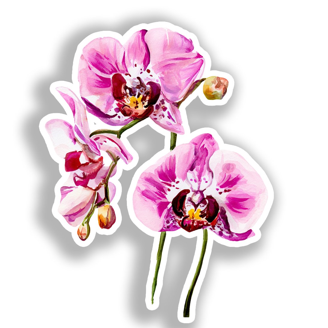 Orchid Flower Vinyl Decal Sticker for Car, Laptop, Tumbler and more # A019319-4" x 4"