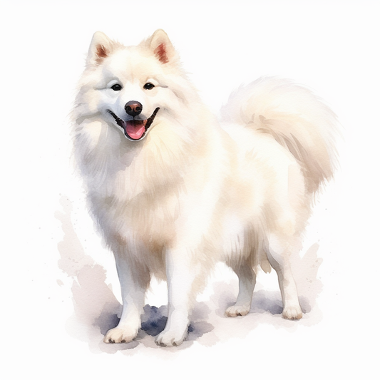 American Eskimo Dog Vinyl Decal Sticker for Car, Laptop, Tumbler and more # 0010227