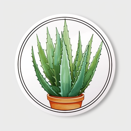 Aloe Vera Plant Vinyl Decal Sticker for Car, Laptop, Tumbler and more # 0010121