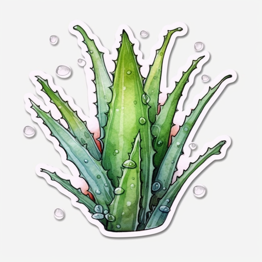 Aloe Vera Plant Vinyl Decal Sticker for Car, Laptop, Tumbler and more # 0010115