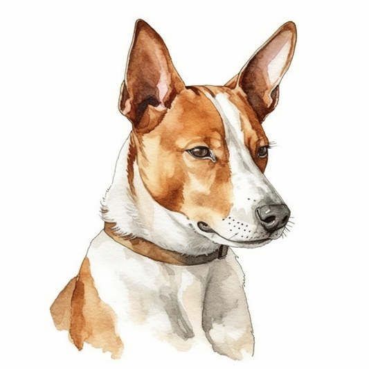 Basenji Dog Vinyl Decal Sticker for Car, Laptop, Tumbler and more # 0010140
