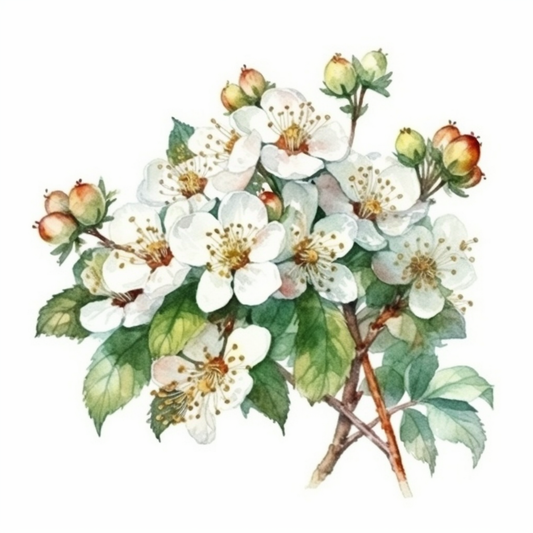 Hawthorn FLower Vinyl Decal Sticker for Car, Laptop, Tumbler and more # 006240