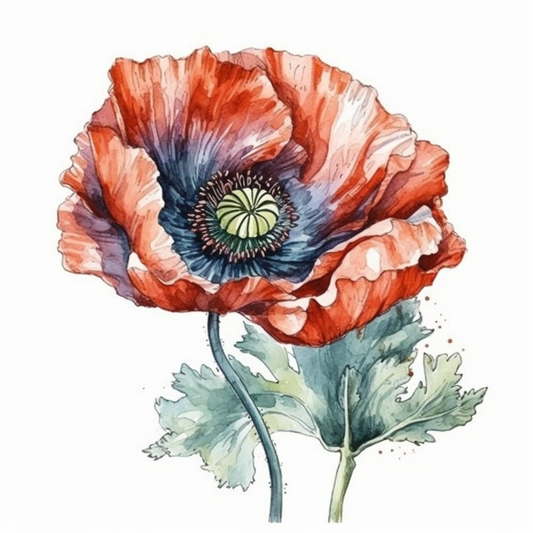 Poppy Flower Vinyl Decal Sticker for Car, Laptop, Tumbler and more # 006205