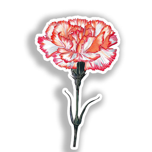 Carnation Flower Vinyl Decal Sticker for Car, Laptop, Tumbler and more # A018884-4" x 4"