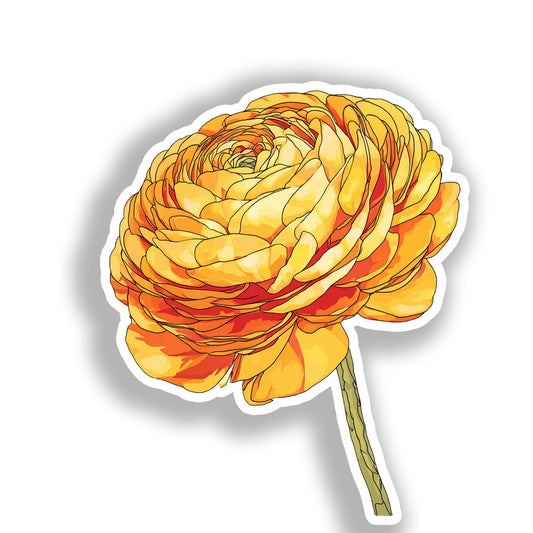 Ranunculus Flower Vinyl Decal Sticker for Car, Laptop, Tumbler and more # A019254-4" x 4"