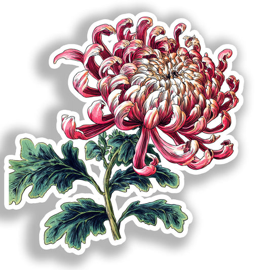 Chrysanthemum Flower Vinyl Decal Sticker for Car, Laptop, Tumbler and more # A019795-4" x 4"