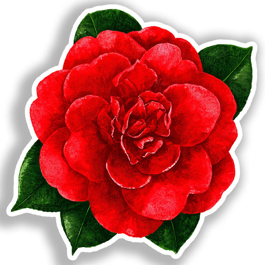 Camellia Flower Vinyl Decal Sticker for Car, Laptop, Tumbler and more # A018864-4" x 4"