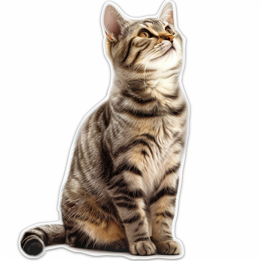 American Shorthair Cat majestic Expressive surreal Vinyl Decal Sticker for Car, Laptop, Tumbler and more # F019776-4" x 4"