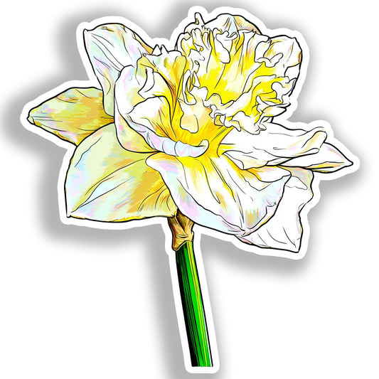 Daffodil Flower Vinyl Decal Sticker for Car, Laptop, Tumbler and more # A019729-4" x 4"