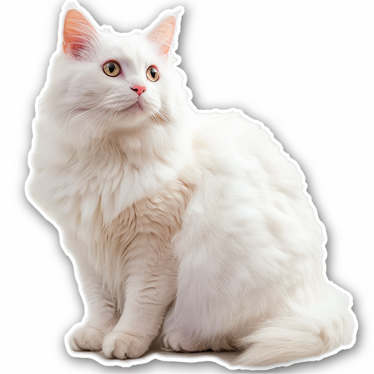 Adorable Turkish Angora Cat  Vinyl Decal Sticker for Car, Laptop, Tumbler and more # F020785-4" x 4"