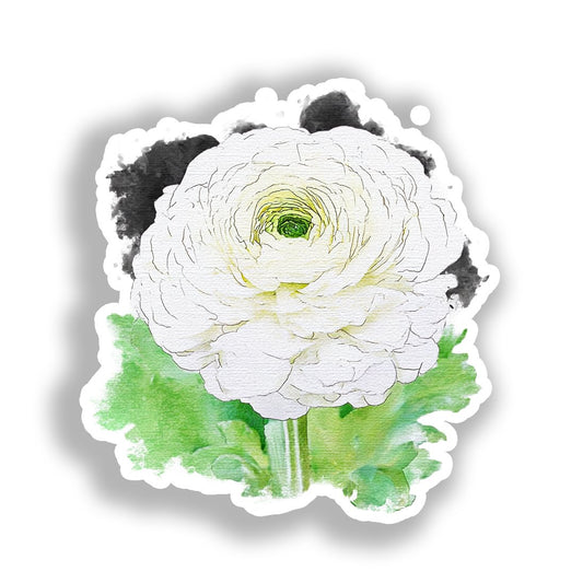 Ranunculus Flower Vinyl Decal Sticker for Car, Laptop, Tumbler and more # A019260-4" x 4"