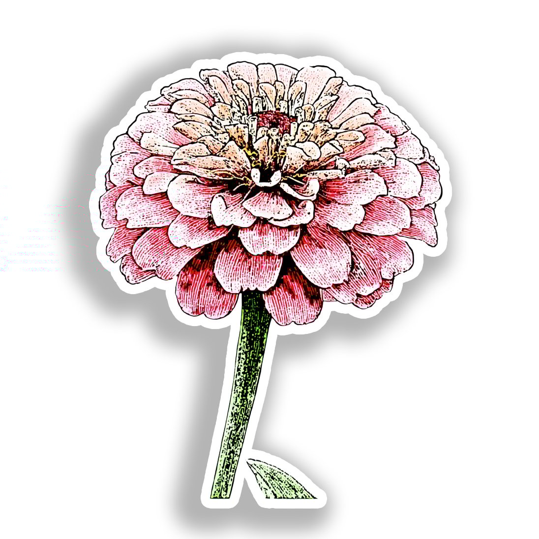 Zinnia Flower Vinyl Decal Sticker for Car, Laptop, Tumbler and more # A019053-4" x 4"