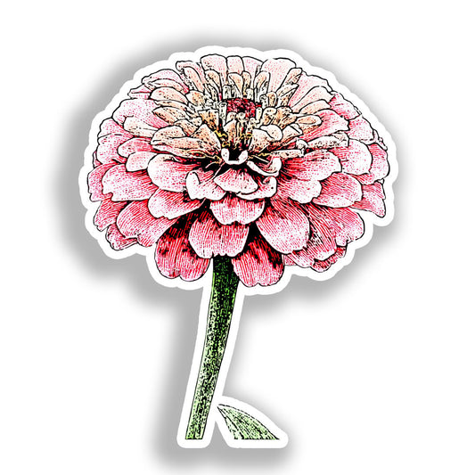 Zinnia Flower Vinyl Decal Sticker for Car, Laptop, Tumbler and more # A019053-4" x 4"