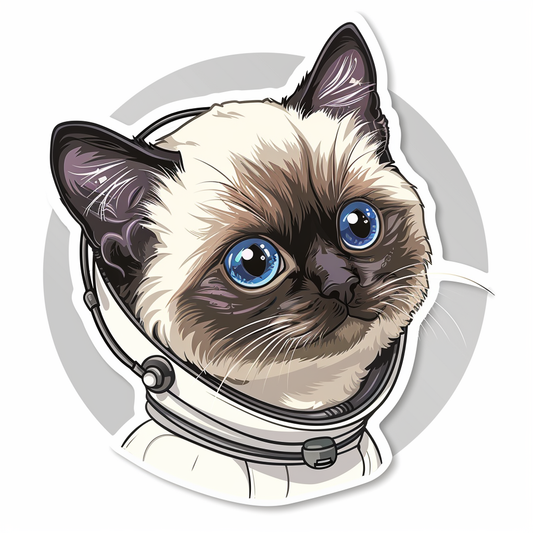 Ragdoll Cat astronaut Vinyl Decal Sticker for Car, Laptop, Tumbler and more # F010217