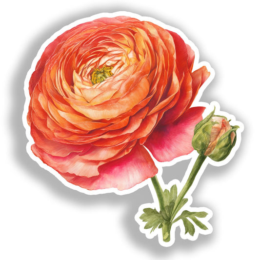 Ranunculus Flower Vinyl Decal Sticker for Car, Laptop, Tumbler and more # A019243-4" x 4"