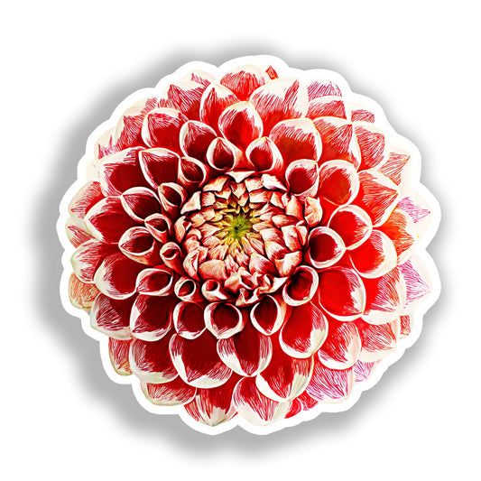 Dahlia Flower Vinyl Decal Sticker for Car, Laptop, Tumbler and more # A019685-4" x 4"