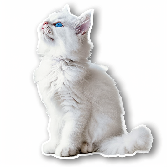 Adorable Turkish Angora Cat  Vinyl Decal Sticker for Car, Laptop, Tumbler and more # F020813-4" x 4"