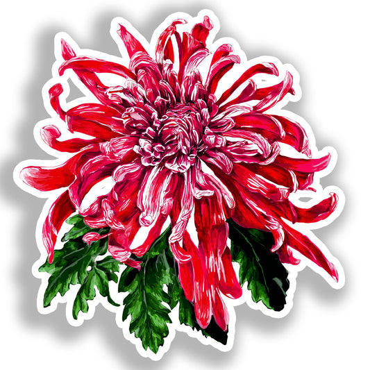 Chrysanthemum Flower Vinyl Decal Sticker for Car, Laptop, Tumbler and more # A019788-4" x 4"