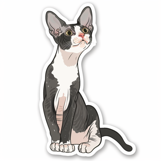 Devon Rex Cat Vinyl Decal Sticker for Car, Laptop, Tumbler and more # F09828