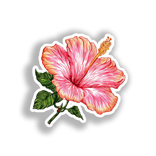 Hibiscus Flower Vinyl Decal Sticker for Car, Laptop, Tumbler and more # A019498-4" x 4"