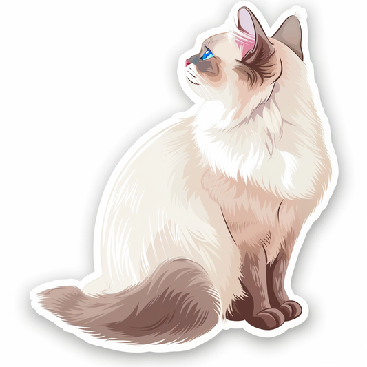 Ragdoll Cat Vinyl Decal Sticker for Car, Laptop, Tumbler and more # F08021