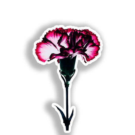 Carnation Flower Vinyl Decal Sticker for Car, Laptop, Tumbler and more # A018888-4" x 4"