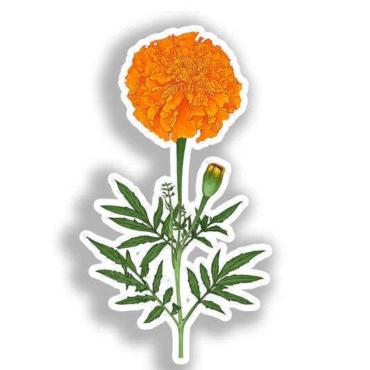 Marigold Flower Vinyl Decal Sticker for Car, Laptop, Tumbler and more # A019431-4" x 4"
