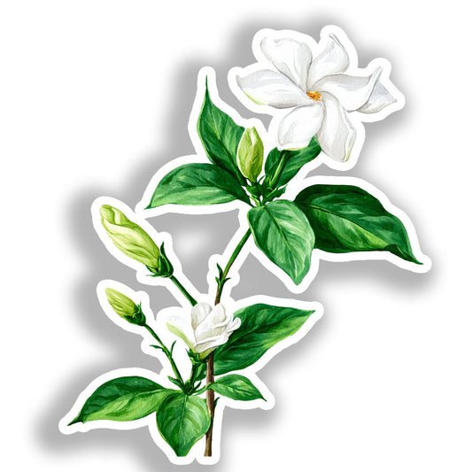 Jasmine Flower Vinyl Decal Sticker for Car, Laptop, Tumbler and more # A019503-4" x 4"