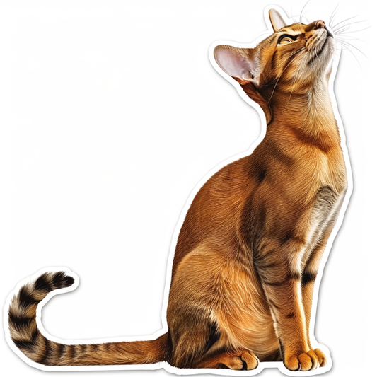 Abyssinian cat Vinyl Decal Sticker for Car, Laptop, Tumbler and more # F07865