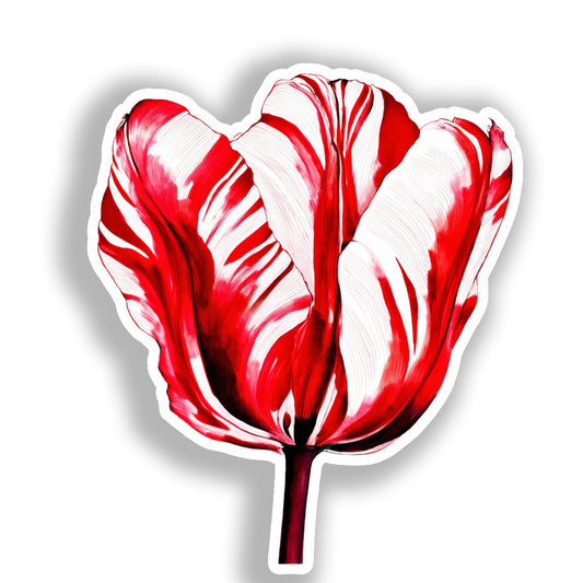 Tulip Flower Vinyl Decal Sticker for Car, Laptop, Tumbler and more # A019063-4" x 4"