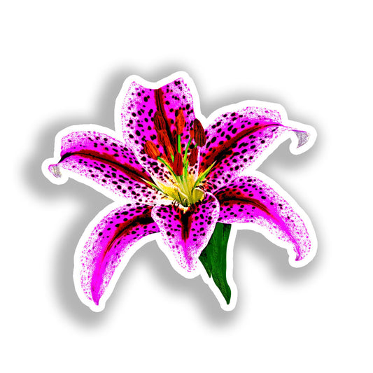 Lily Flower Vinyl Decal Sticker for Car, Laptop, Tumbler and more # A019418-4" x 4"