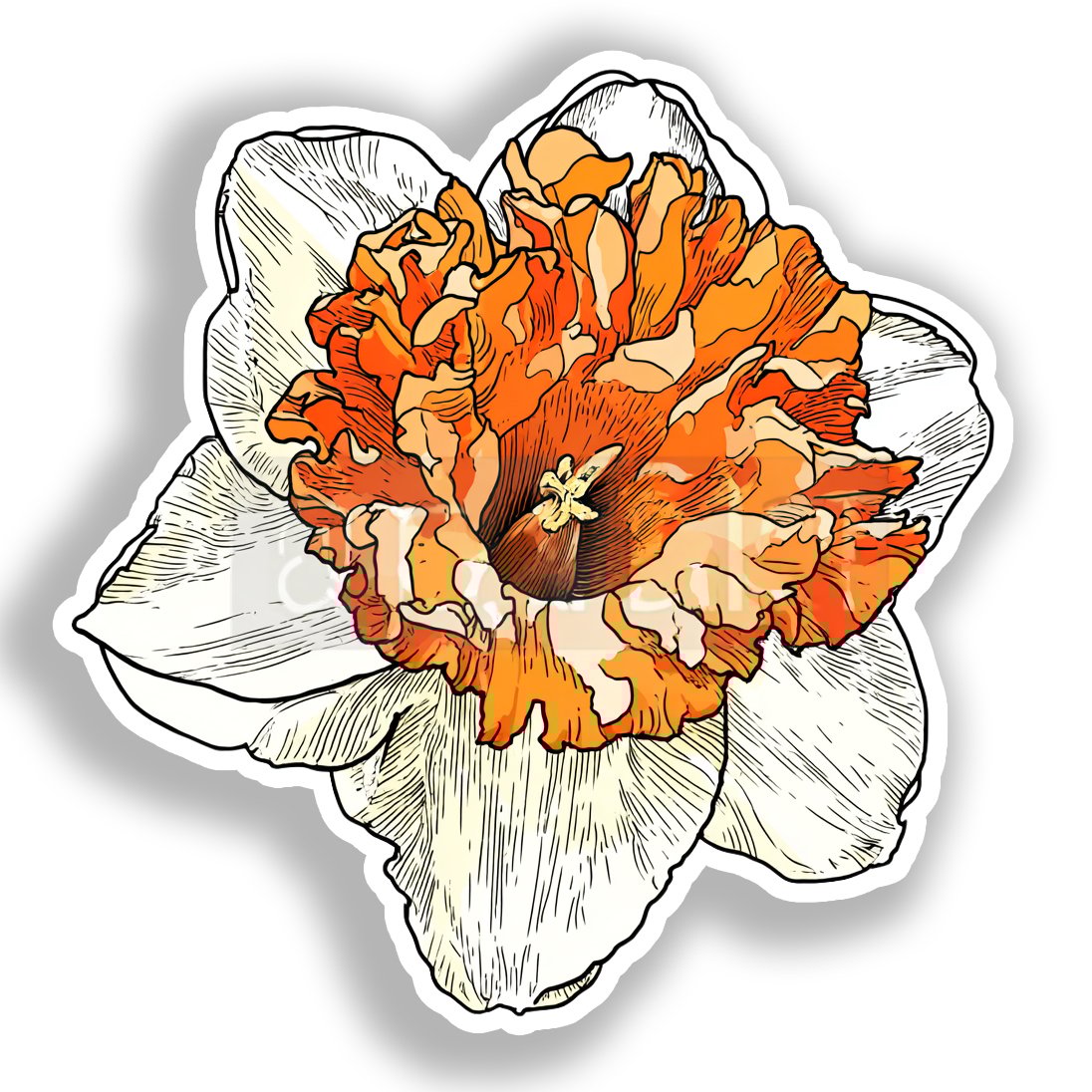 Daffodil Flower Vinyl Decal Sticker for Car, Laptop, Tumbler and more # A019741-4" x 4"