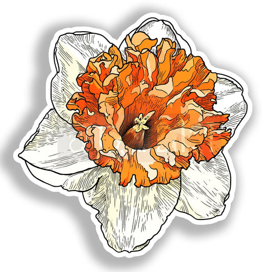 Daffodil Flower Vinyl Decal Sticker for Car, Laptop, Tumbler and more # A019741-4" x 4"
