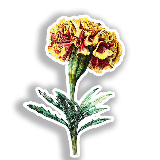 Marigold Flower Vinyl Decal Sticker for Car, Laptop, Tumbler and more # A019411-4" x 4"