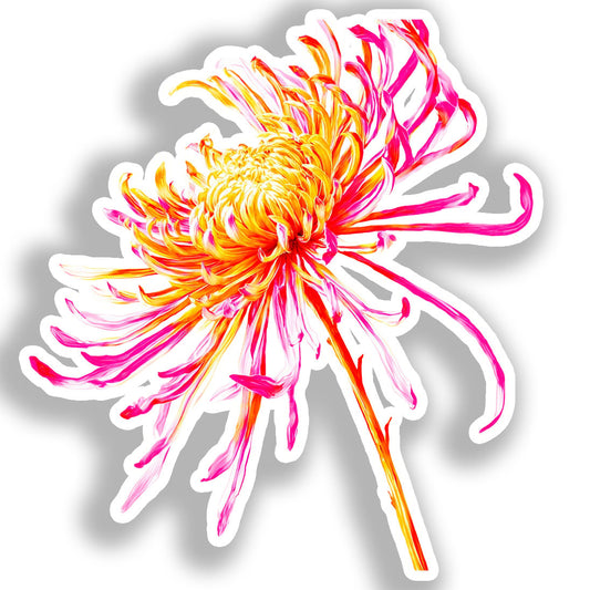 Chrysanthemum Flower Vinyl Decal Sticker for Car, Laptop, Tumbler and more # A018877-4" x 4"