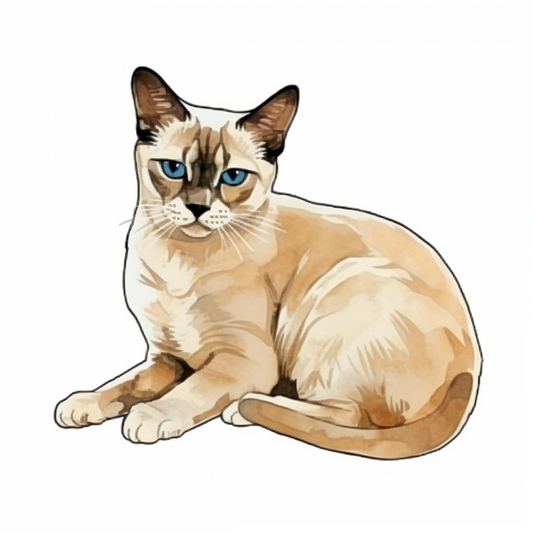 Burmese Cat Vinyl Decal Sticker for Car, Laptop, Tumbler and more # F010730