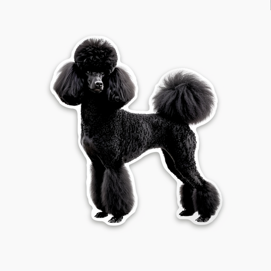 Poodle Dog Vinyl Decal Sticker for Car, Laptop, Tumbler and more # F012785