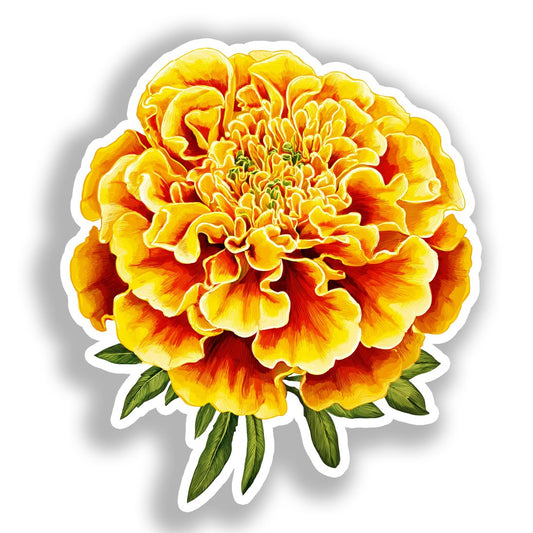 Marigold Flower Vinyl Decal Sticker for Car, Laptop, Tumbler and more # A019374-4" x 4"