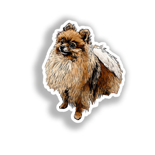 Pomeranian Dog Vinyl Decal Sticker for Car, Laptop, Tumbler and more # A017354-4" x 4"