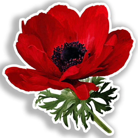 Anemone Flower Vinyl Decal Sticker for Car, Laptop, Tumbler and more # A018762-4" x 4"