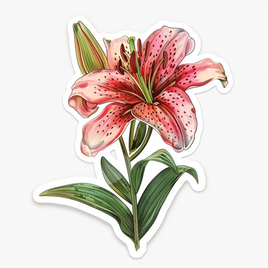 Lily flower majestic Expressive surreal Vinyl Decal Sticker for Car, Laptop, Tumbler and more # F023186