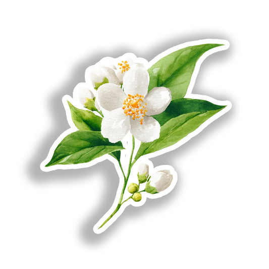 Jasmine Flower Vinyl Decal Sticker for Car, Laptop, Tumbler and more # A019514-4" x 4"
