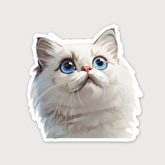 Persian cat Vinyl Decal Sticker for Car, Laptop, Tumbler and more # F07915