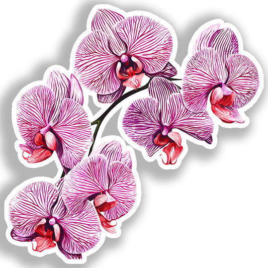 Orchid Flower Vinyl Decal Sticker for Car, Laptop, Tumbler and more # A019247-4" x 4"